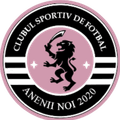 Agarista CSF Anenii Noi(w) Logo
