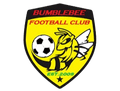 New bumblebee Logo