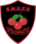 Sturminster Newton Logo