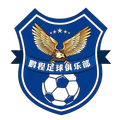 Tianjin Pengcheng U15 Logo