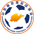 ShanDong JFSS (w) Logo