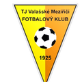 Valasske Mezirici Logo