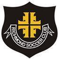 Runner up logo