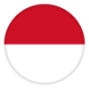 Indonesia Universiteti Logo