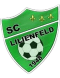 SC Lilienfeld Youth Logo