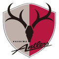 Recreativo Kashima (w) Logo