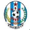 Gerzy Star Logo