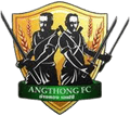 Angthong FC Logo