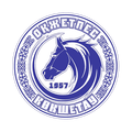 Winner logo