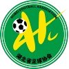 Hubei U16 Logo
