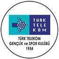Turkiye Telekomspor Logo