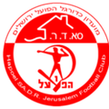Hapoel Jerusalem Malka U19 Logo