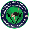 Negele Arsi Logo