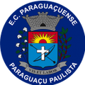EC Paraguacuense U19 Logo