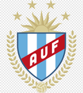 Universidad Del Sureste FC Logo