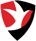 Cheltenham Town U18 Logo