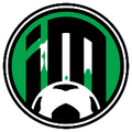 Inter de Minas Youth Logo