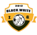 Zigong Team Logo