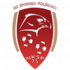 Polskava Logo