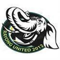 Rayong United Logo
