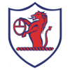 Runner up logo
