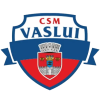 CSSM Vaslui Logo
