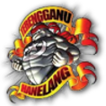 Hanelang FC Logo