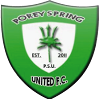 Porey Springs Logo