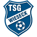 TSG Wieseck Youth Logo