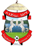 Injibara Ketema Logo