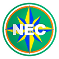 Navegantes EC Logo