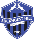 Buckhurst Hill Logo
