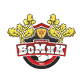 Bomik Tsivilsk Logo