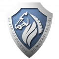 FC Norchi Dinamoeli Tbilisi Logo