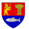 CSJ Stiinta U Craiova U19 Logo