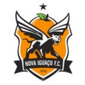 Nova Iguacu Youth Logo