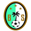 Bintang Selatan Logo