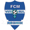 Viitorul Reghin (w) Logo