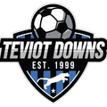 Teviot Downs SC Logo
