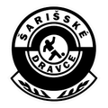 FK Sarisske Dravce Logo