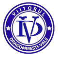 德拉戈米瓦樂 Logo