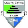 Cedar star Logo