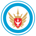 Novara Calcio Youth Logo