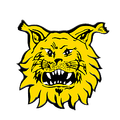 Ilves Youth Logo
