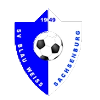SV Sachsenburg Logo