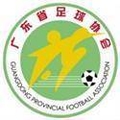 Guangdong Province Youth Logo