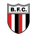 Botafogo Sp Youth Logo