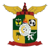 Luwu Raya United Logo