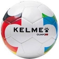 Shree Kumari Club Logo