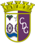 CD Gouveia U19 Logo